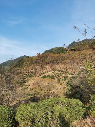 桂峰山风景旅游区