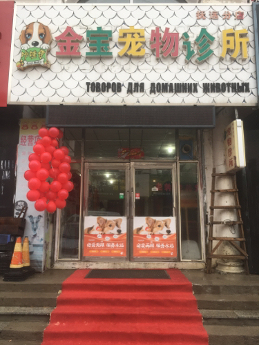 金宝宠物医院