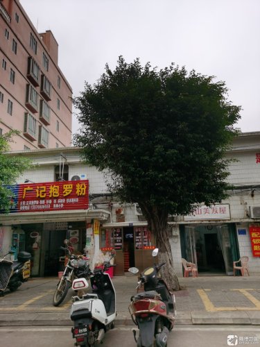 广记抱罗粉