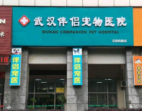 武汉伴侣宠物医院(古田路店)