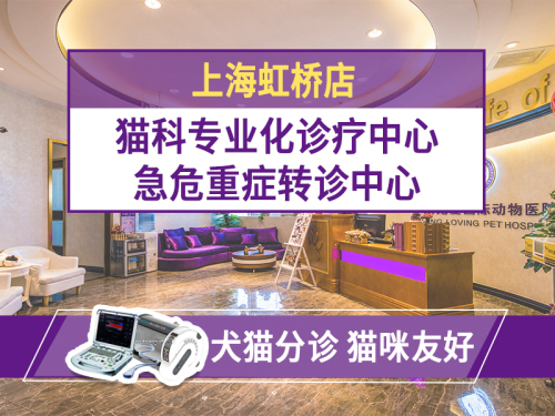 宠爱国际动物医院(上海虹桥店)
