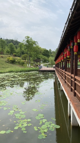 金松湖城市生态公园