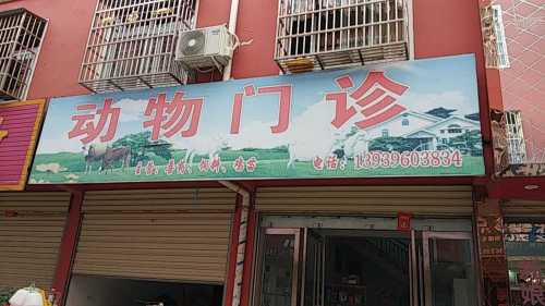 动物门诊