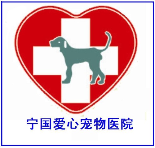 爱心宠物医院(中溪北路店)