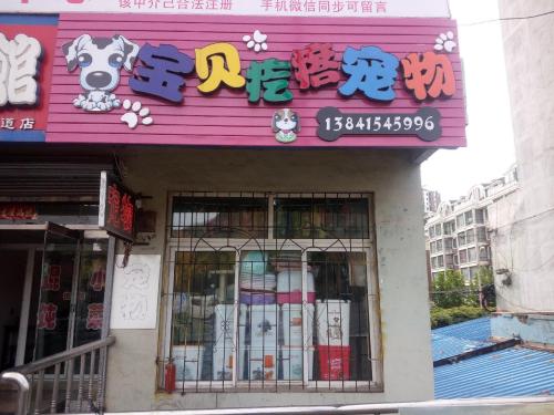 宝贝疙瘩宠物