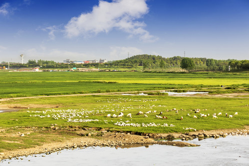 六安市霍邱县临淮岗