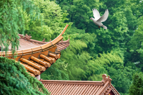 三祖天然禅寺