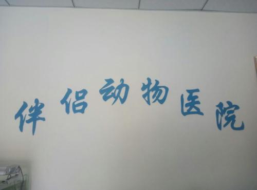 伴侣动物医院(文明路店)