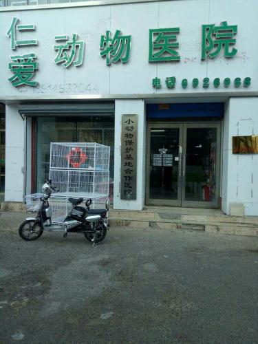 仁爱动物医院