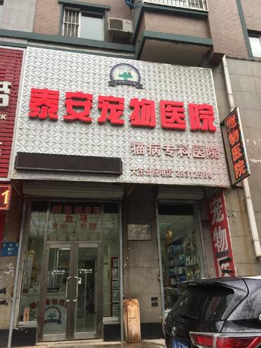 泰安宠物医院(大东店)