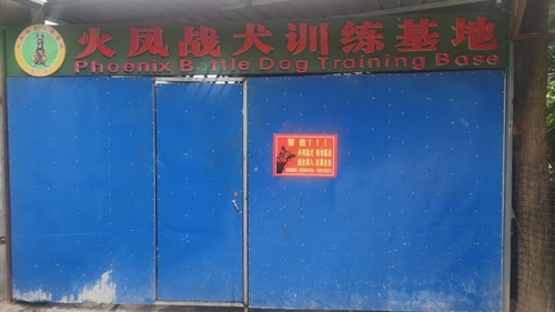 火凤战犬训练基地