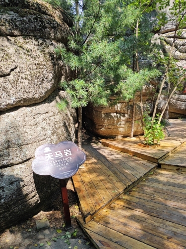 汤旺河林海奇石风景区-天马岩