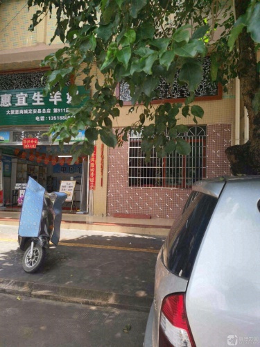 惠宜生羊奶(定安县定城总店)