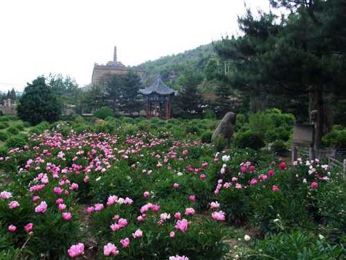 万花山风景区