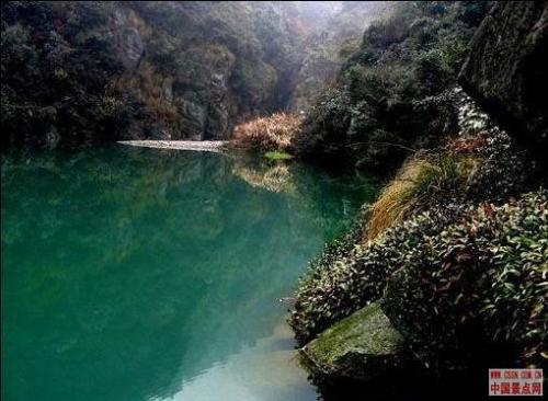 九岭山森林公园