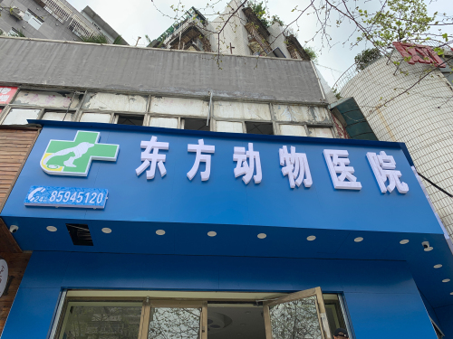 东方动物医院(浣纱路分院)