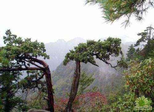 风景垭