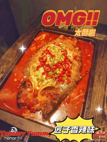 匠子鱼蛙