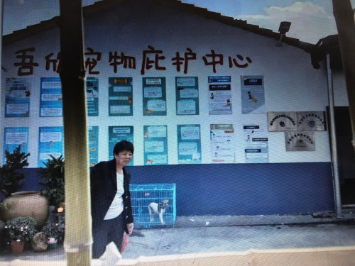 吾欣宠物庇护中心