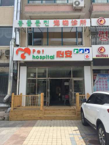 心安宠物诊所