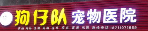 狗仔队宠物医院