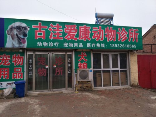 古洼爱康动物诊所