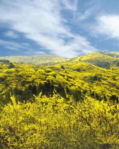 黄花岭风景区