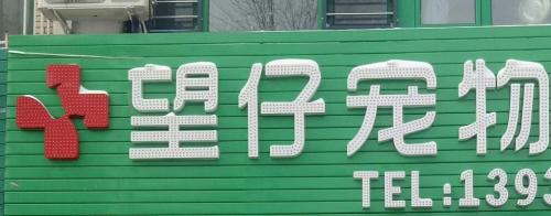 望仔宠物门诊