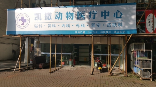 凯撒动物诊疗中心