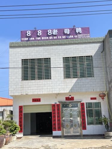 888老母鸭总店