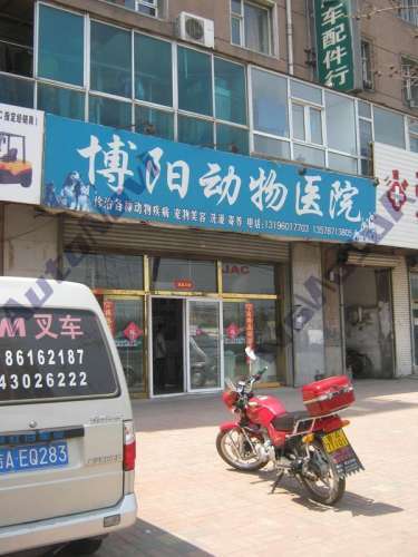 博阳动物医院
