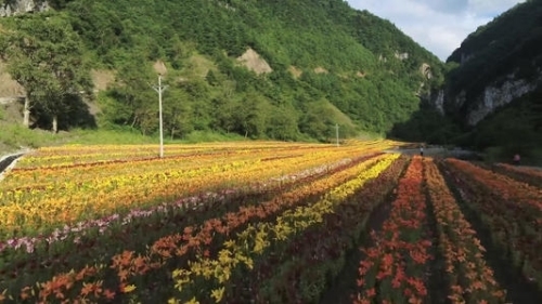 花千谷文化旅游景区(暂停开放)