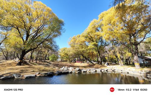 圆明园-绮春园景区