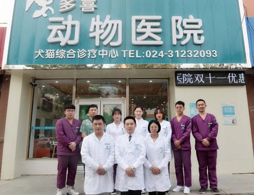 多喜动物医院(犬猫综合诊疗中心)