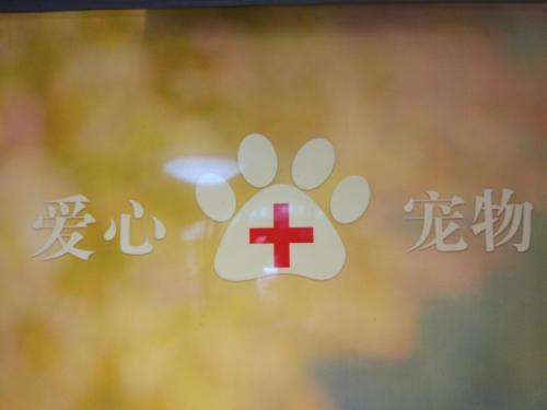 爱心宠物诊疗服务中心