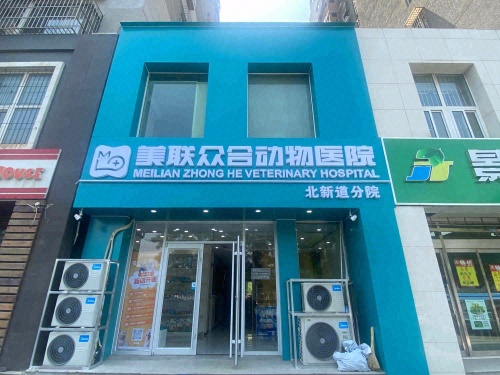 美联众合动物医院北新道分院