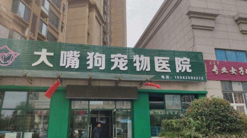 大嘴狗宠物医院