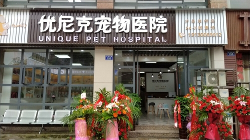 优尼克宠物医院(泸县店)24小时急诊