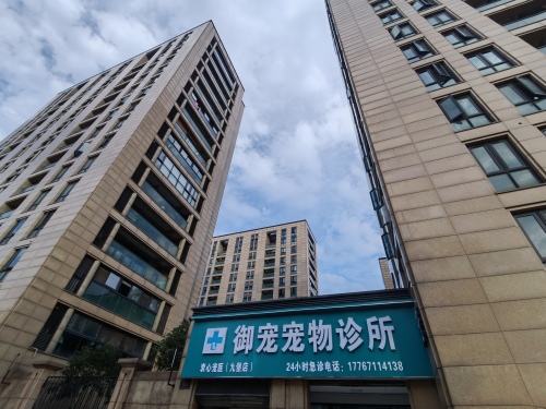 御宠宠物诊所