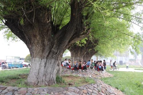 北田庄村植物园