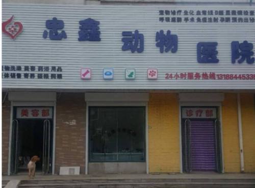 忠鑫动物医院