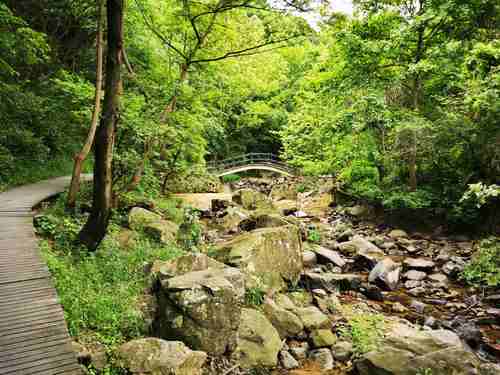 西九华山风景区-留梦河谷