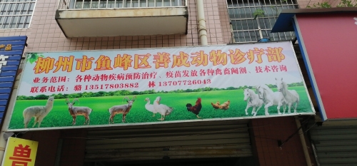 柳州市鱼峰区善成动物诊疗部