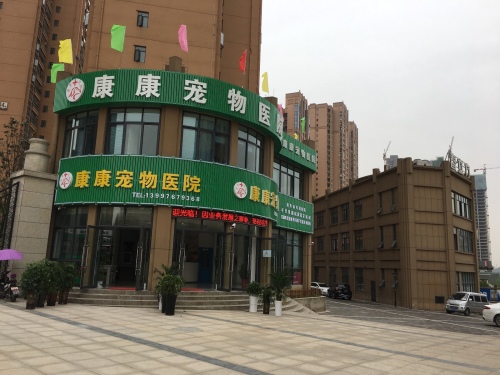 康康宠物医院