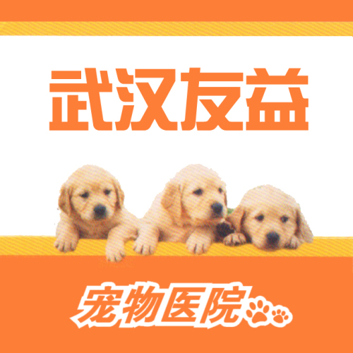 友益宠物医院