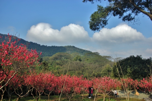 桃花涧[广州白云山景点]