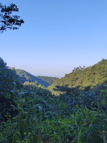 四会市贞山旅游度假区