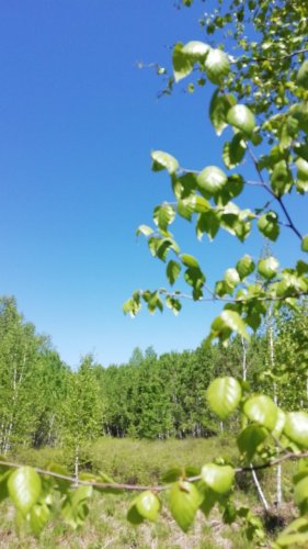 龙门石寨景区-龙门草塘