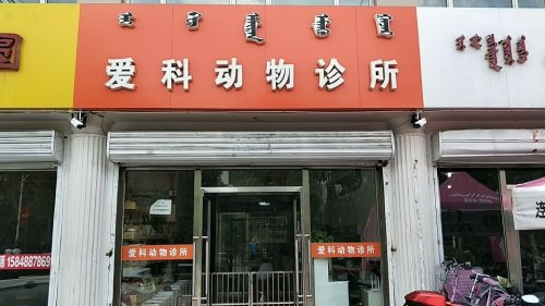 爱科动物诊所(九原区店)