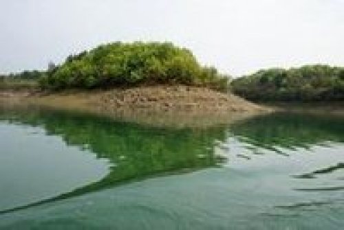 洈水国家森林公园